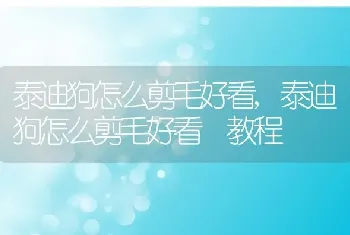 泰迪狗怎么剪毛好看，泰迪狗怎么剪毛好看 教程