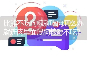 比熊不吃狗粮就吃肉怎么办就连肉里面混狗粮都不吃？