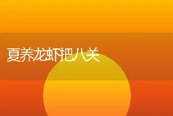 夏养龙虾把八关