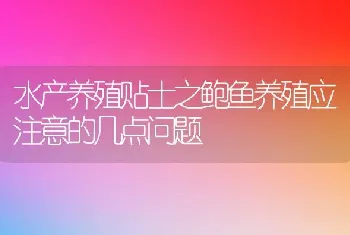 水产养殖贴士之鲍鱼养殖应注意的几点问题