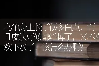 乌龟身上长了很多白点，而且皮肤好像都烂掉了，又不喜欢下水了，该怎么办啊？