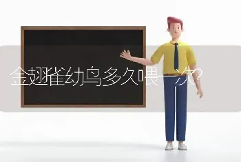 金翅雀幼鸟多久喂一次？