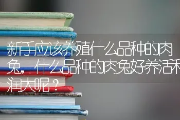 新手应该养殖什么品种的肉兔，什么品种的肉兔好养活利润大呢？