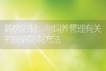 鹅病防制：与饲养管理有关的疾病防制方法