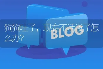 狗狗吐了，现在不活泼了怎么办？