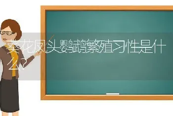 葵花凤头鹦鹉繁殖习性是什么？