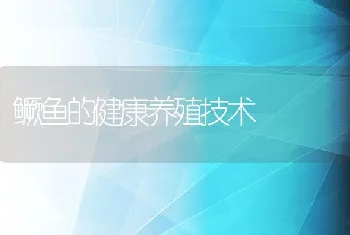 鳜鱼的健康养殖技术