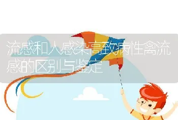 流感和人感染高致病性禽流感的区别与鉴定