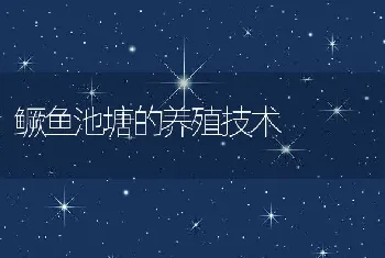 鳜鱼池塘的养殖技术