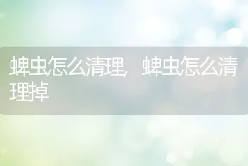 蜱虫怎么清理，蜱虫怎么清理掉