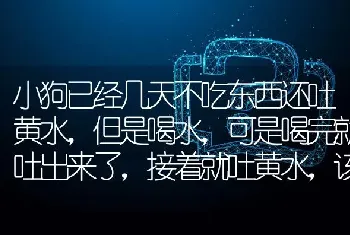 小狗已经几天不吃东西还吐黄水，该怎么办啊？