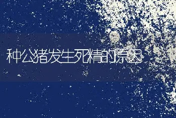 池塘网箱黄鳝应激性疾病的防治技术