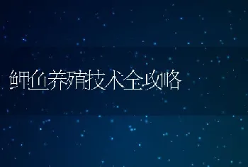 鲤鱼养殖技术全攻略