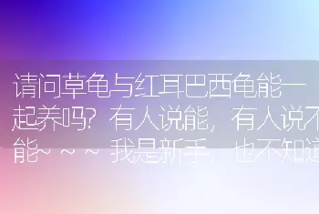 请问草龟与红耳巴西龟能一起养吗?有人说能，有人说不能~~~我是新手，也不知道到底行不行，求助!谢谢？