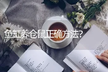 鱼缸养仓鼠正确方法？