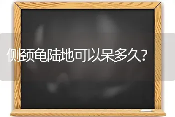 侧颈龟陆地可以呆多久？