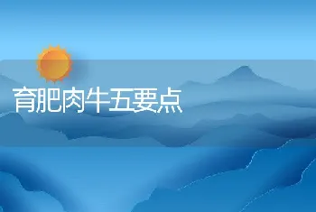 免皮等级划分方法