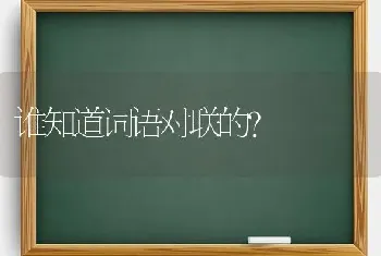 谁知道词语对联的？