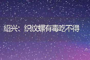 绍兴：织纹螺有毒吃不得