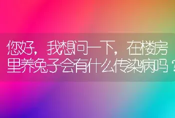 您好，我想问一下，在楼房里养兔子会有什么传染病吗？