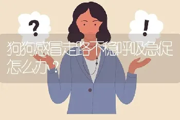 狗狗感冒走路不稳呼吸急促怎么办？