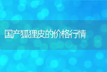 国产狐狸皮的价格行情