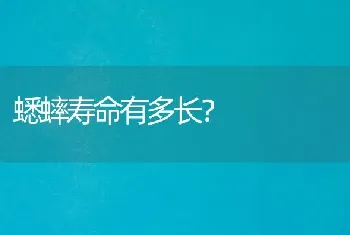 蟋蟀寿命有多长？