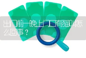 出门前一晚上门口有猫叫怎么回事？