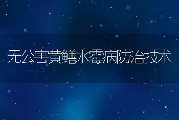 无公害黄鳝水霉病防治技术