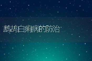 鹧鸪白痢病的防治