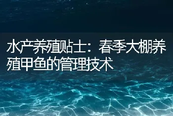 水产养殖贴士：春季大棚养殖甲鱼的管理技术