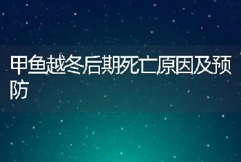 甲鱼越冬后期死亡原因及预防