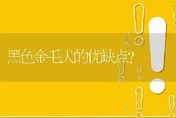 黑色金毛犬的优缺点？