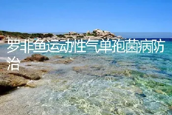 罗非鱼运动性气单孢菌病防治