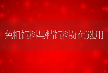 兔粗饲料与精饲料如何选用