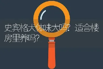 史宾格犬体味大吗?适合楼房里养吗？