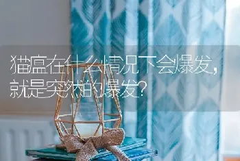 狗狗为什么突然拉稀，狗狗突然拉稀像泥浆？