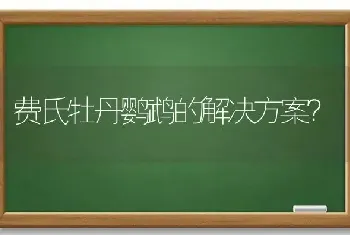 费氏牡丹鹦鹉的解决方案？