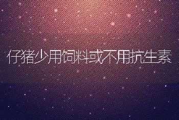 养殖蛇卵孵化的技术要领