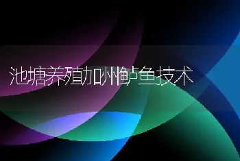 池塘养殖加州鲈鱼技术