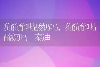 狗狗能喝酸奶吗，狗狗能喝酸奶吗 泰迪