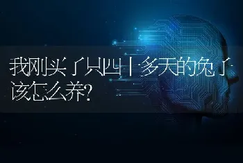 我刚买了只四十多天的兔子该怎么养？