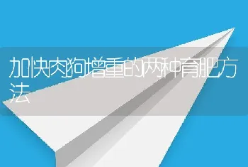 黄颡鱼池塘养殖新方法