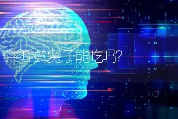 半斤的兔子能吃吗？