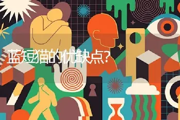 蓝短猫的优缺点？