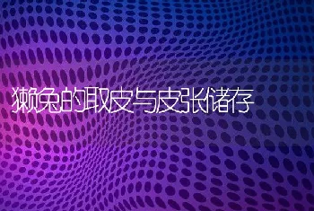 黄鳝泥鳅高产套养技术要点介绍