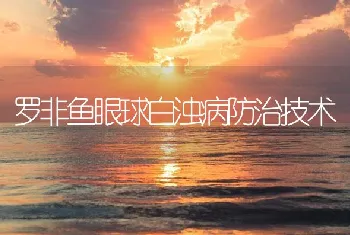 罗非鱼眼球白浊病防治技术