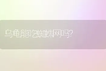 乌龟能吃蜘蛛网吗？