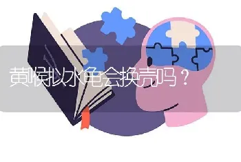 黄喉拟水龟会换壳吗？