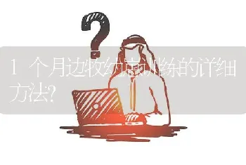 1个月边牧幼崽训练的详细方法？